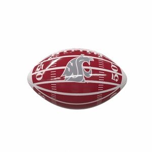 Washington State Cougars Field Mini Glossy Football